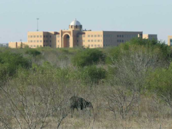San Antonio City Council OKs development deal for South Side land near Texas A&M University - San Antonio