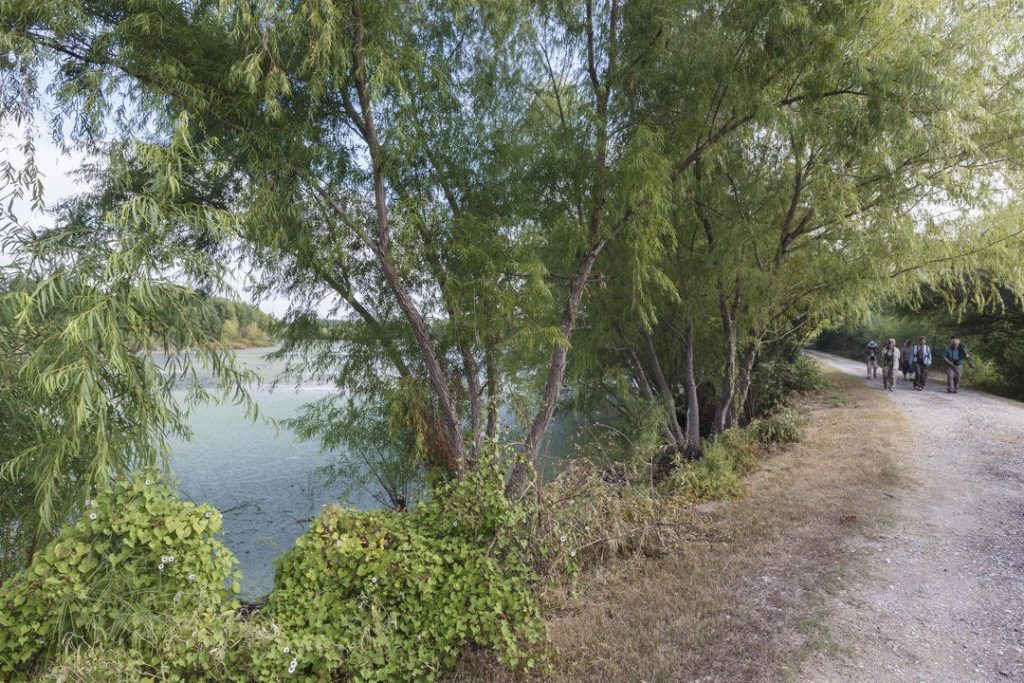 San Antonio’s Mitchell Lake Audubon Center Is a Key Stop for Birds