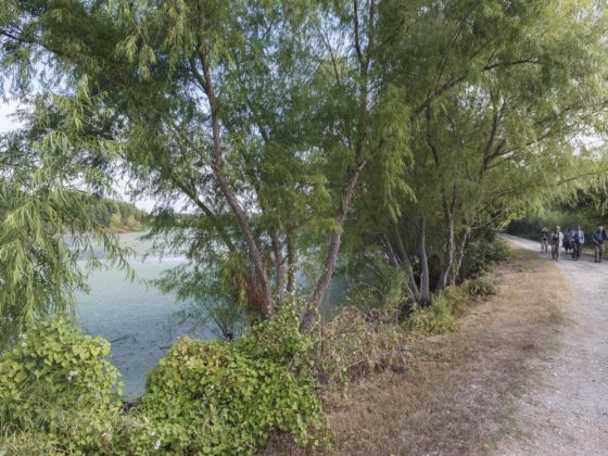 San Antonio’s Mitchell Lake Audubon Center Is a Key Stop for Birds