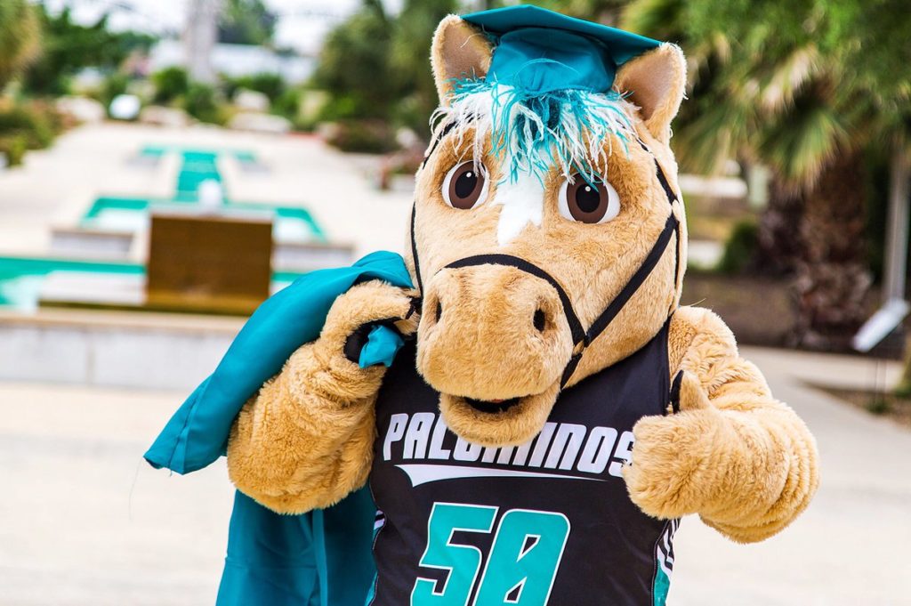 Palo Alto college mascot. Horse with a teal graduation cap on top of his head and a jersey on.