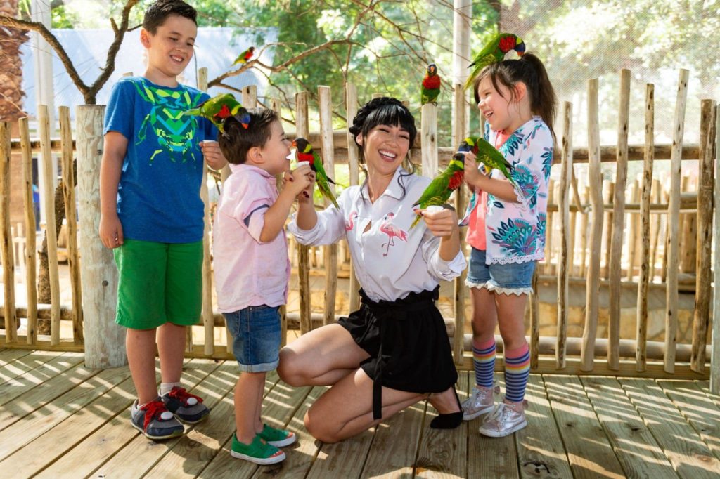 Bird Feeding at San Antonio Zoo