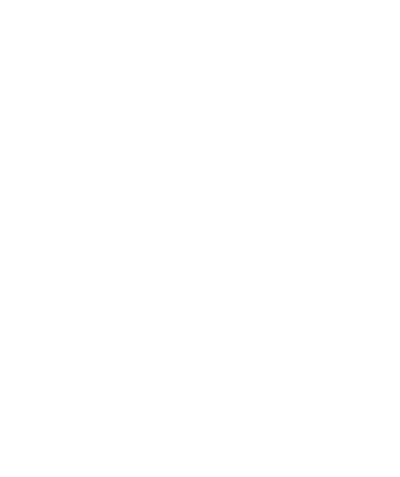 VIDA