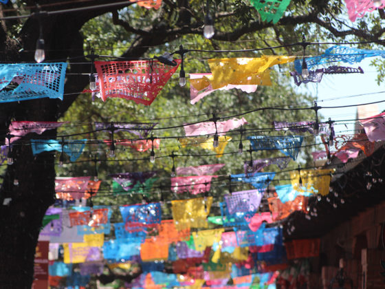 papel picado, or tissue paper flags strewn between a building and trees