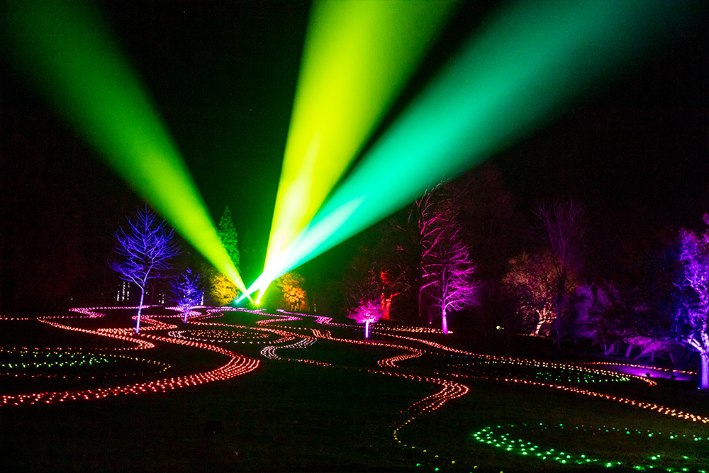 An arrangement of botanical lights at the San Antonio Botanical Garden for Lightscape.