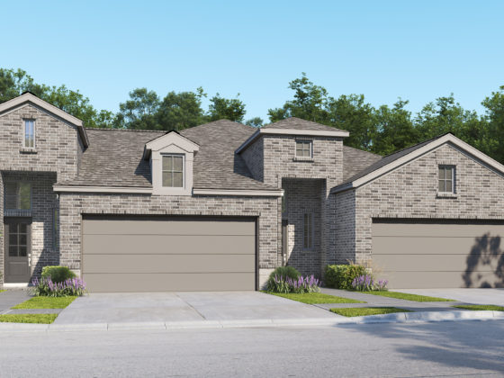 VIDA duplex rendering