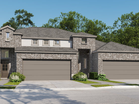 VIDA duplex rendering