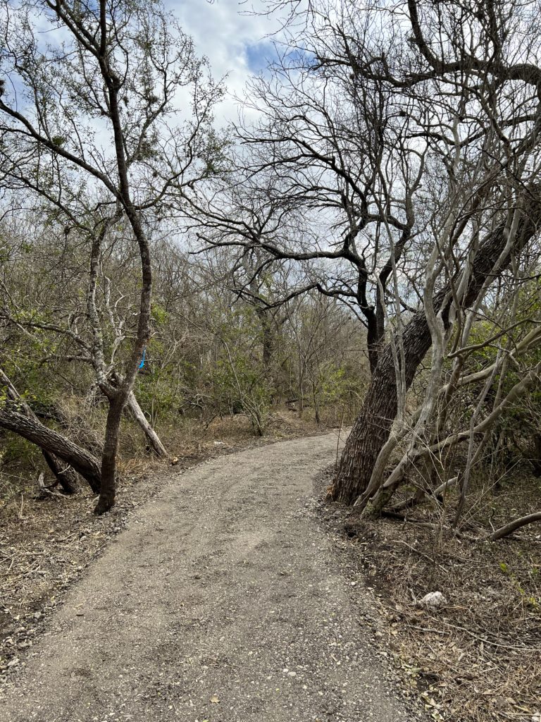 Madla Greenway Progress