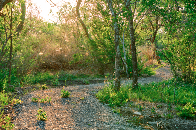 Madla Greenway Plan VIDA San Antonio