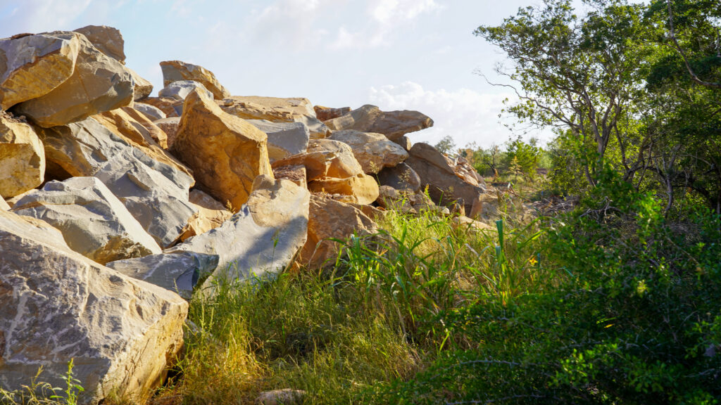 Large rocks and grass at Madla Greenway