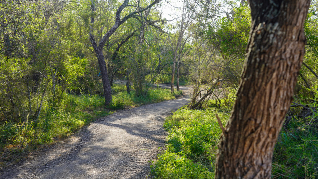 Outdoor Trail at Madla Greenway