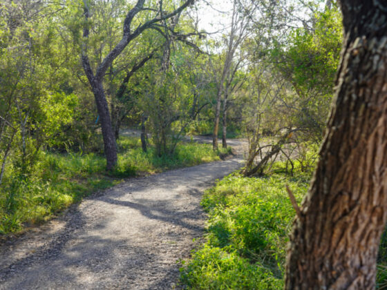 Outdoor Trail at Madla Greenway