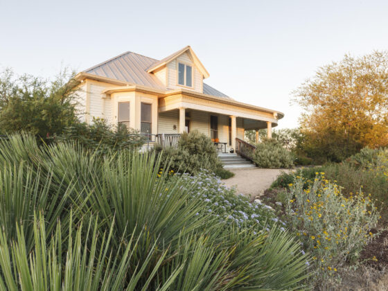 Mitchell Lake Audubon Center surrounded by native San Antonio plants.