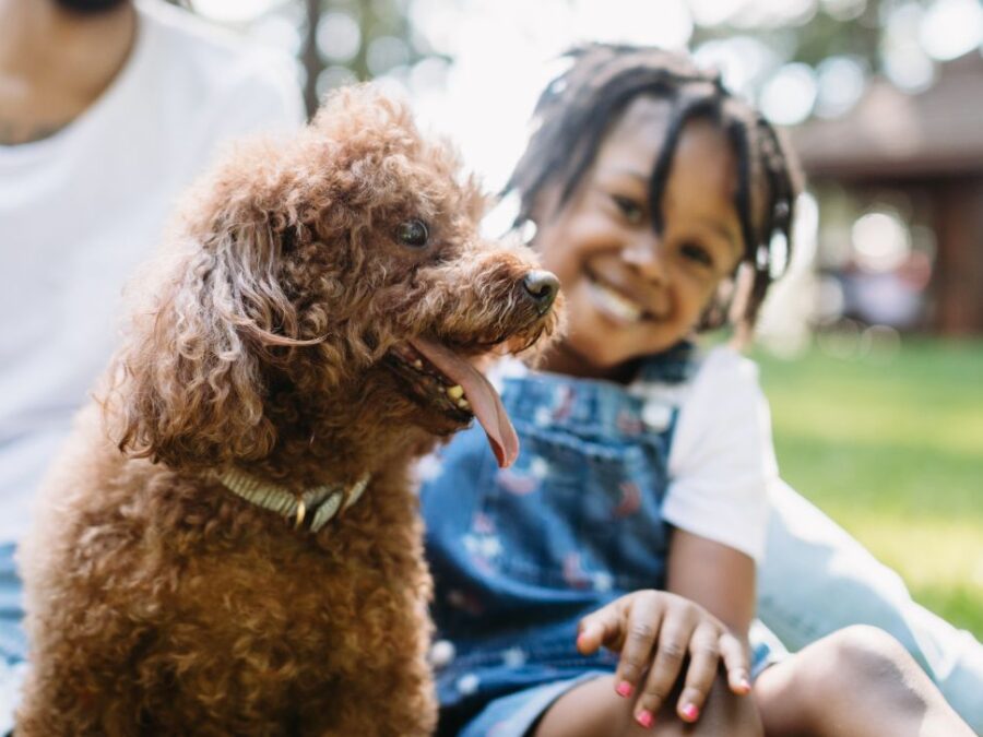 Adorable Small Poodle and Young Child Smile while outdoors