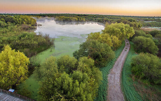 An Aerial view of Mitchell Lake in San Antonio.