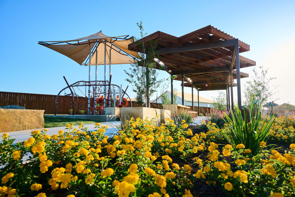 Beautiful yellow spring blooms populate just alongside the Ana Park at Vida.