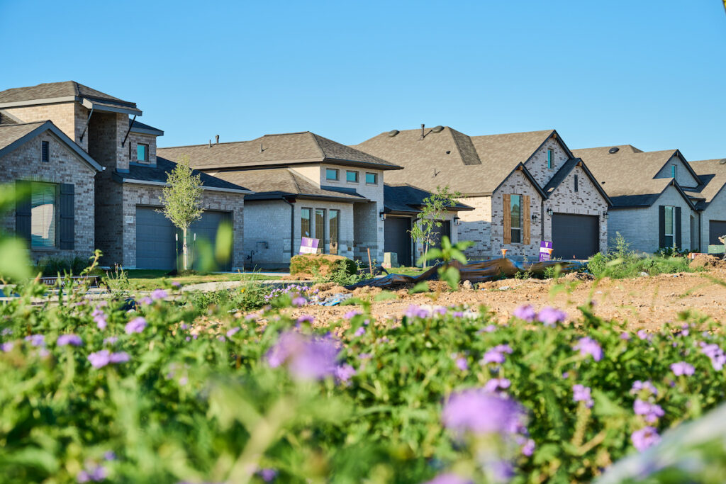 flowers bloom with houses in the background at VIDA