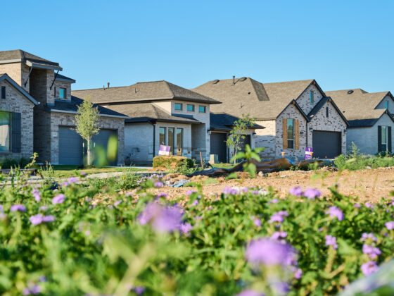 flowers bloom with houses in the background at VIDA