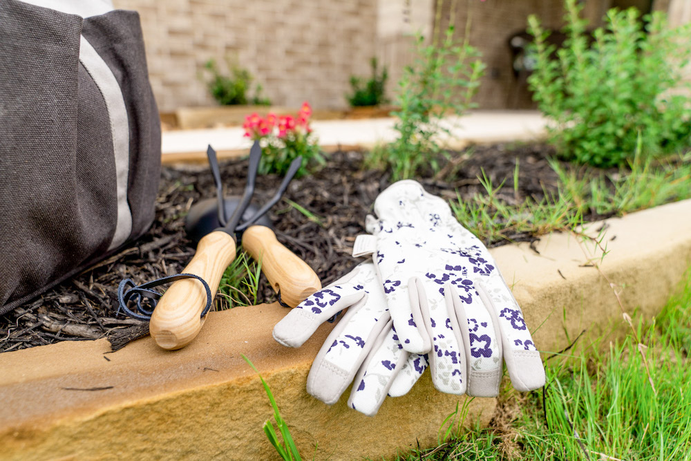 a gardening glove lies in a garden bed
