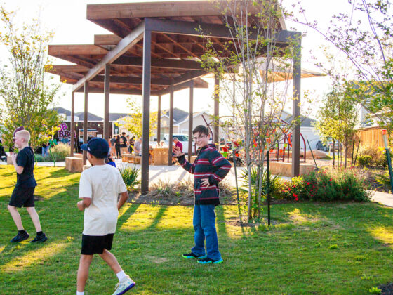 Children play on a sunny day in a Park