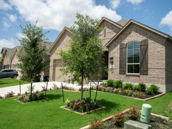 A modern brick house at VIDA San Antonio boasts a well-maintained lawn and garden. Young trees and plants adorn the front yard, while a driveway leads to a garage with a parked car. The sky is partly cloudy, offering a serene backdrop for new homes and apartments in this vibrant community.