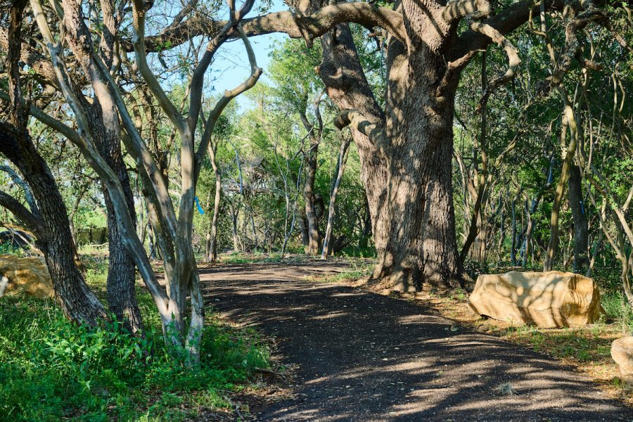 Shadow and sun pass through the trees along the path at Madla Greenway in San Antonio.