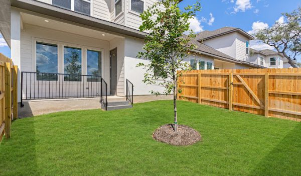A vibrant green backyard in a Sitterle townhome at VIDA San Antonio.